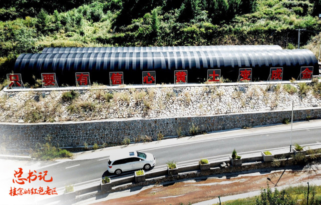 總書記掛念的紅色老區(qū)：對這里，總書記有“一個情結(jié)”